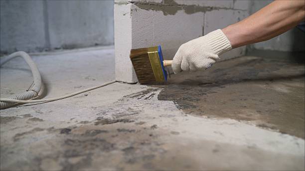 Top rated local Basement Waterproofing specialists in Breckenridge, MI